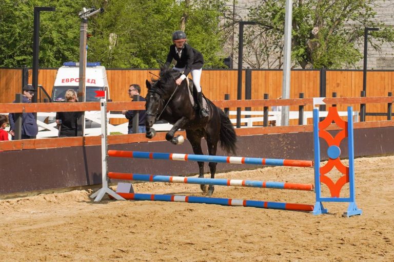 Уже скоро – 20 апреля состоится III Кубок Минимущества Дагестана по конкуру