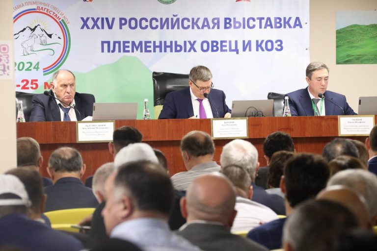 В Дагестане будут готовить специалистов для шерстеперерабатывающей промышленности