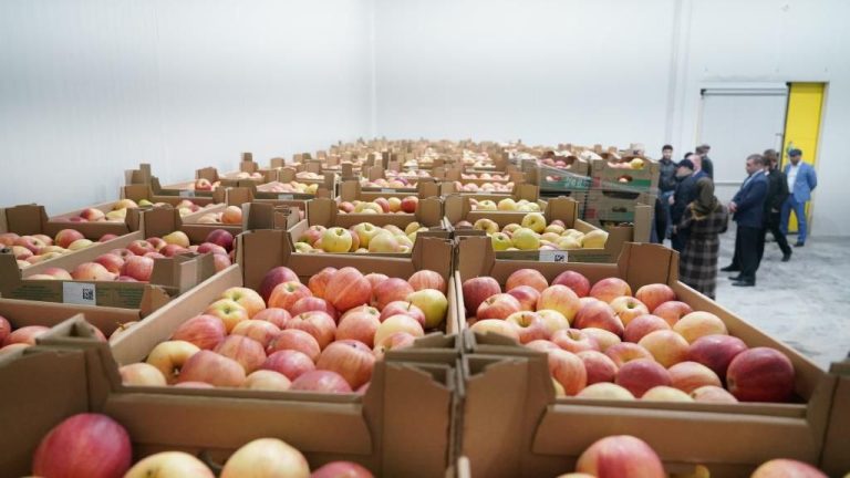 Первую очередь самого крупного фруктохранилища в Дагестане введут в эксплуатацию в ближайший месяц, сообщил премьер-министр РД Абдулмуслим Абдулмуслимов.