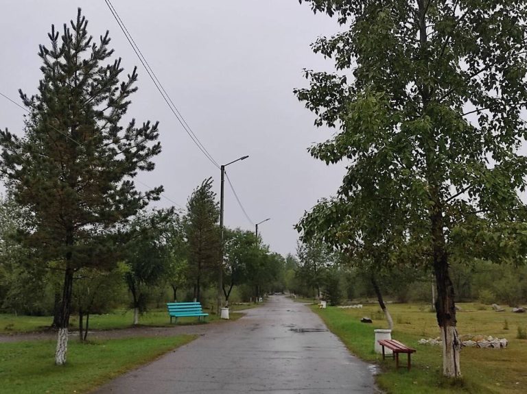 Новые Сады памяти появились в разных уголках Дагестана.