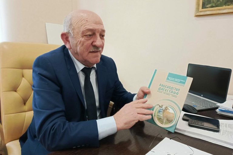 Дагестан направит в федеральный центр на утверждение документы по новому типу овец Дагестанской горной породы.