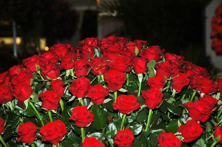 Миллион роз.