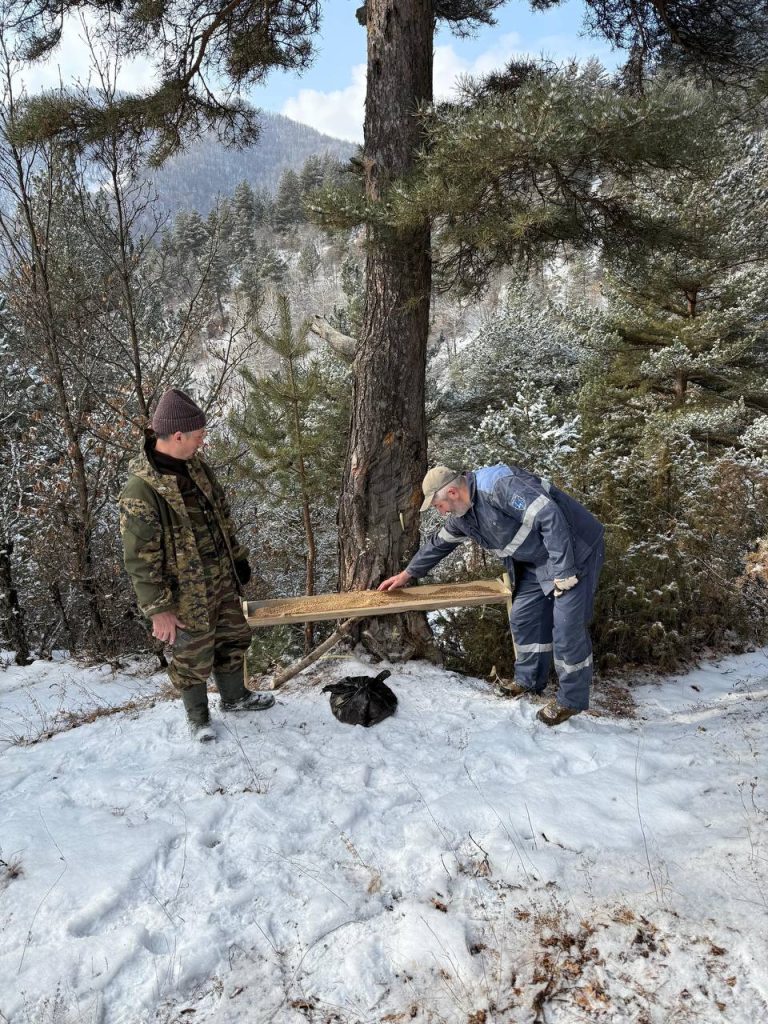 Сотрудники Минприроды Дагестана в зимнее время пополняют кормушки в лесах и горах прикормкой для диких животных
