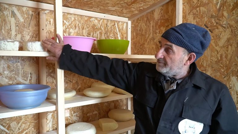 В Дагестане хозяйство «Возрождение» в Казбековском районе наладило производство уникального овечьего сыра.