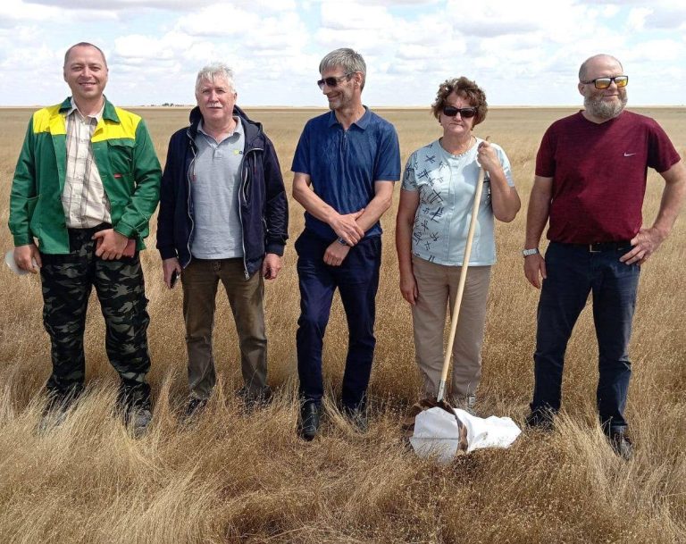 Приграничные земли Дагестана и Ставрополья проверили на наличие саранчи