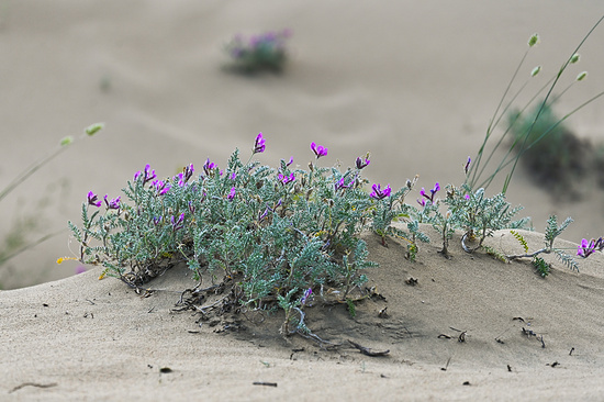 e54a625dfbd2497797666e8c3f12fe31d0b9425e