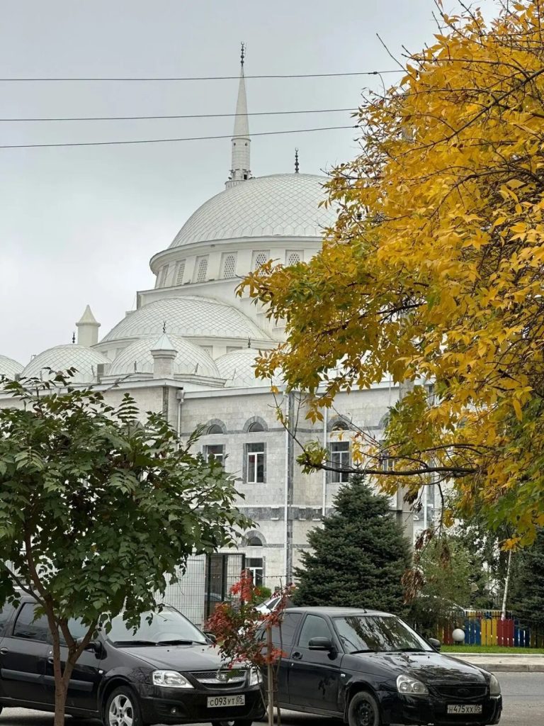 Муфтий Дагестана организует отправку гуманитарной помощи в зону СВО