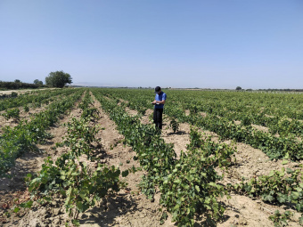 result_image_small447782